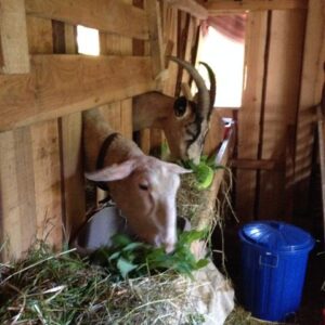 Blog6_IMG_0440